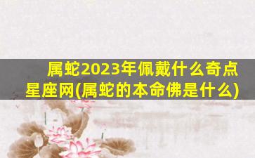 属蛇2023年佩戴什么奇点