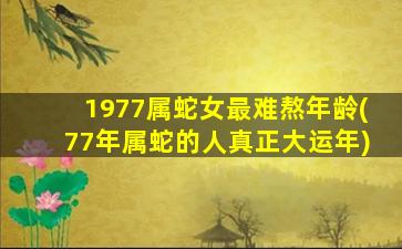 1977属蛇女最难熬年龄(