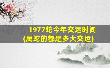 1977蛇今年交运时间(属蛇