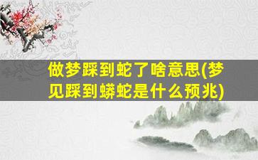 做梦踩到蛇了啥意思(梦见踩到蟒蛇是什么预兆)