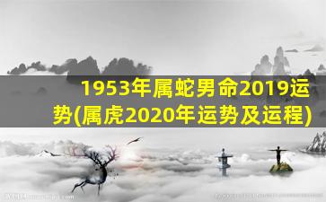 1953年属蛇男命2019运势(属