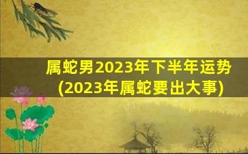 属蛇男2023年下半年运势