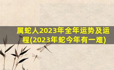 属蛇人2023年全年运势及运程(2023年蛇今年有一难)