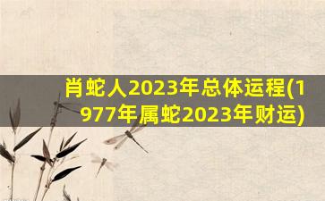 肖蛇人2023年总体运程(1977年属蛇2023年财运)