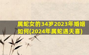 属蛇女的34岁2023年婚姻如