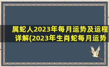 属蛇人2023年每月运势及运程详解(2023年生肖蛇每月运势大全)