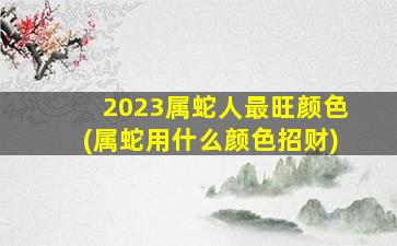 2023属蛇人最旺颜色(属蛇