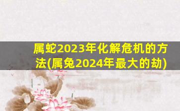 属蛇2023年化解危机的方法(属兔2024年最大的劫)