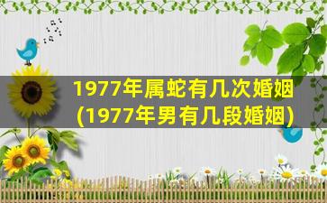 1977年属蛇有几次婚姻(19