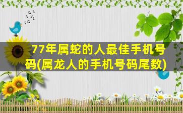 77年属蛇的人最佳手机号