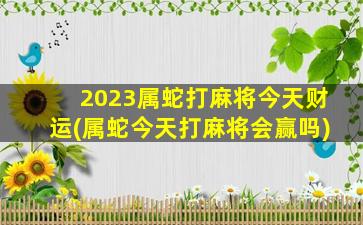 2023属蛇打麻将今天财运