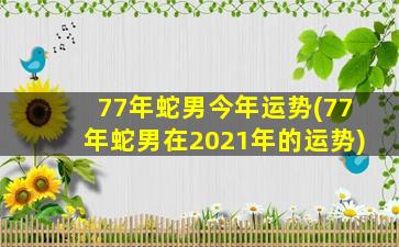 77年蛇男今年运势(77年蛇男在2021年的运势)