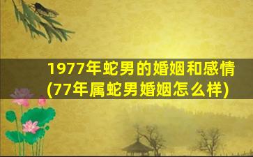 1977年蛇男的婚姻和感情(77年属蛇男婚姻怎么样)