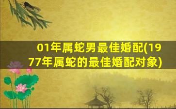 01年属蛇男最佳婚配(1977年属蛇的最佳婚配对象)