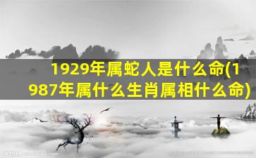 1929年属蛇人是什么命(1987年属什么生肖属相什么命)