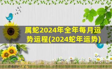 属蛇2024年全年每月运势