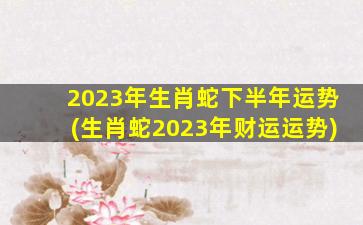 2023年生肖蛇下半年运势(生肖蛇2023年财运运势)