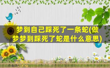 梦到自己踩死了一条蛇(做梦梦到踩死了蛇是什么意思)