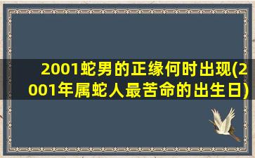 2001蛇男的正缘何时出现(2001年属蛇人最苦命的出生日)