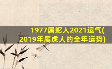 1977属蛇人2021运气(2019年