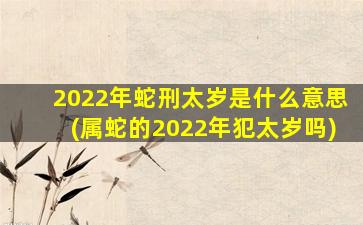 2022年蛇刑太岁是什么意思