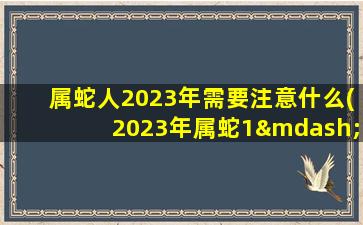 属蛇人2023年需要注意什