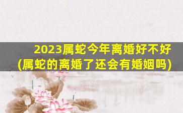 2023属蛇今年离婚好不好