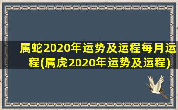 属蛇2020年运势及运程每月