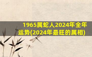 1965属蛇人2024年全年运势