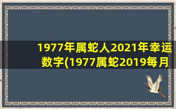 1977年属蛇人2021年幸运数字