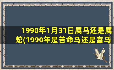 1990年1月31日属马还是属蛇