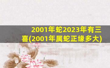 2001年蛇2023年有三喜(2001年