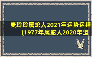 麦玲玲属蛇人2021年运势运