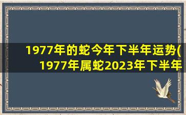 1977年的蛇今年下半年运势(1977年属蛇2023年下半年运势)