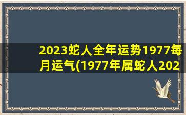 2023蛇人全年运势1977每月运