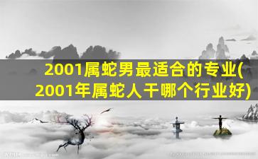 2001属蛇男最适合的专业