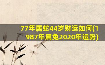 77年属蛇44岁财运如何(19