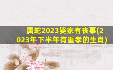 属蛇2023婆家有丧事(202