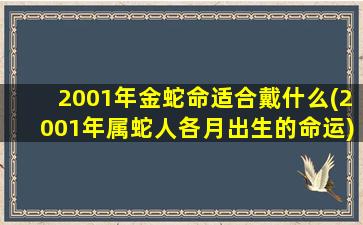 2001年金蛇命适合戴什么(2001年属蛇人各月出生的命运)