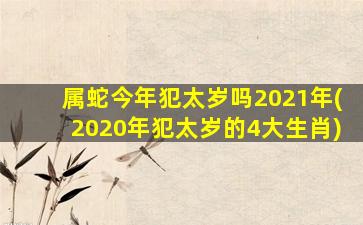 属蛇今年犯太岁吗2021年(2020年犯太岁的4大生肖)