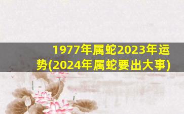 1977年属蛇2023年运势(2024年属蛇要出大事)