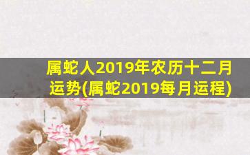 <strong>属蛇人2019年农历十二月</strong>