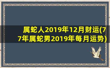 属蛇人2019年12月财运(77年