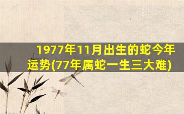 1977年11月出生的蛇今年运势(77年属蛇一生三大难)