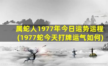 属蛇人1977年今日运势运程