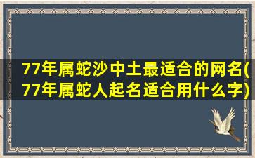 77年属蛇沙中土最适合的网