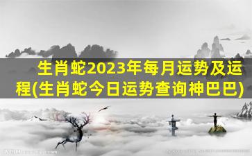 生肖蛇2023年每月运势及运程(生肖蛇今日运势查询神巴巴)