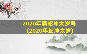 2020年属蛇冲太岁吗(2020年蛇冲太岁)