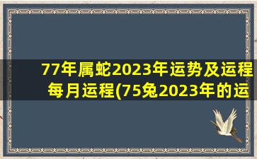 77年属蛇2023年运势及运程