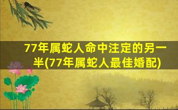 77年属蛇人命中注定的另一半(77年属蛇人最佳婚配)